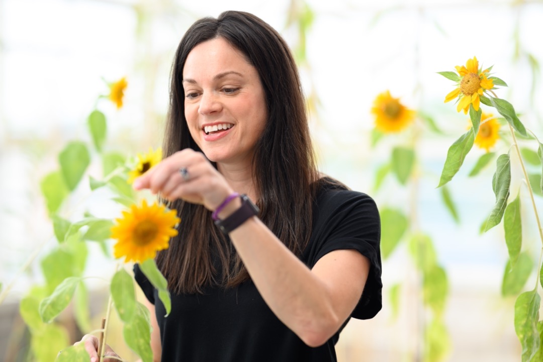 Dr. Jennifer Mandel sunflowers