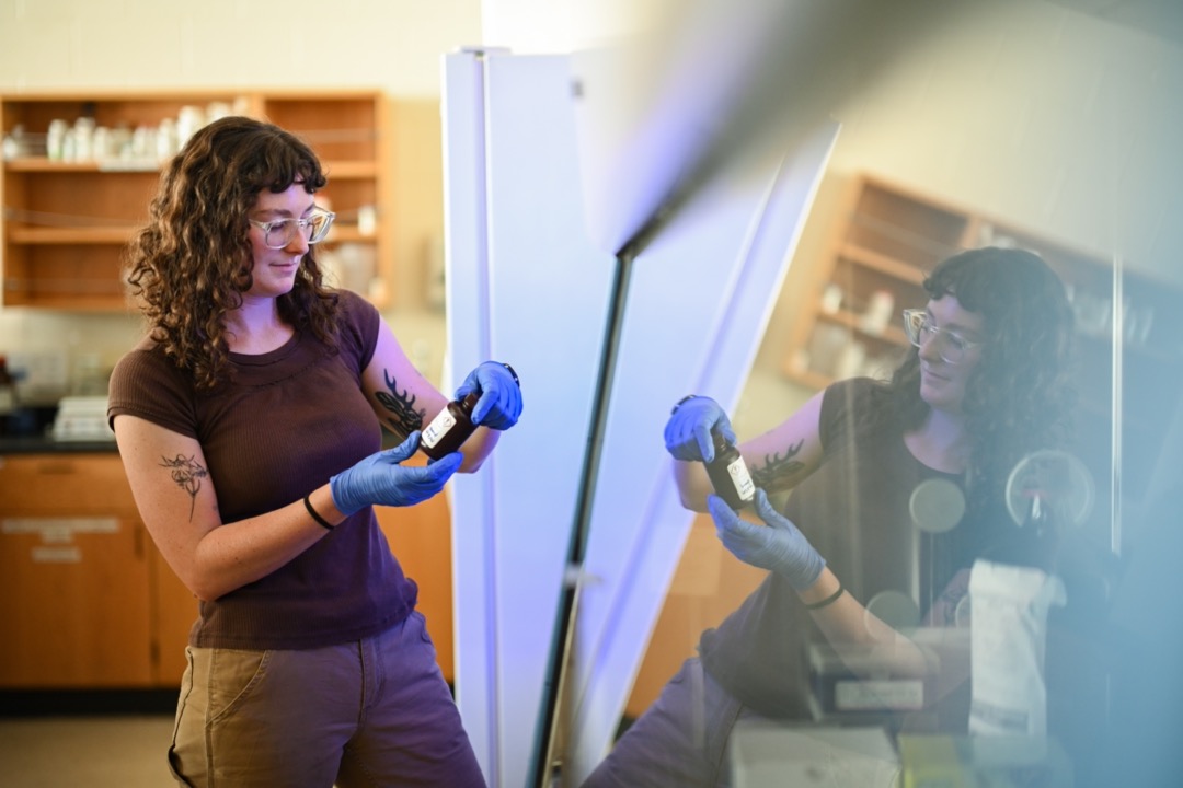 Student research in herbarium lab