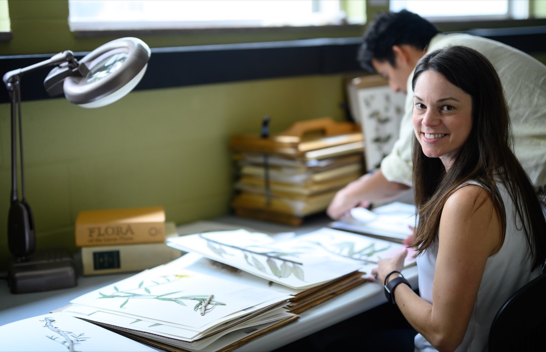 Dr. Mandel in research herbarium